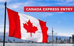 Latest Express Entry Draw on December 19, 2019